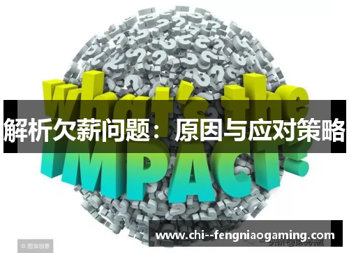 解析欠薪问题：原因与应对策略