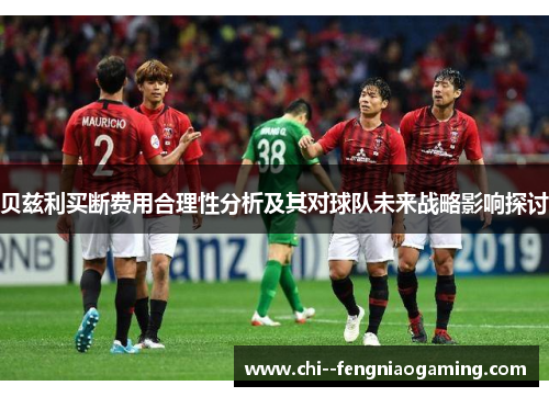 贝兹利买断费用合理性分析及其对球队未来战略影响探讨 贝兹利买断费用合理性分析及其对球队未来战略影响探讨