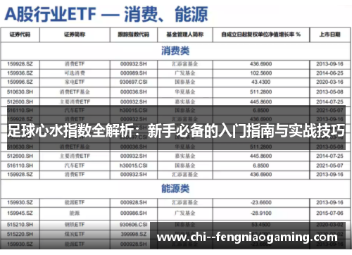 足球心水指数全解析：新手必备的入门指南与实战技巧