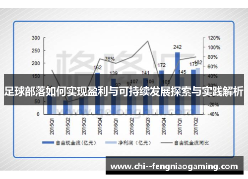 足球部落如何实现盈利与可持续发展探索与实践解析 足球部落如何实现盈利与可持续发展探索与实践解析