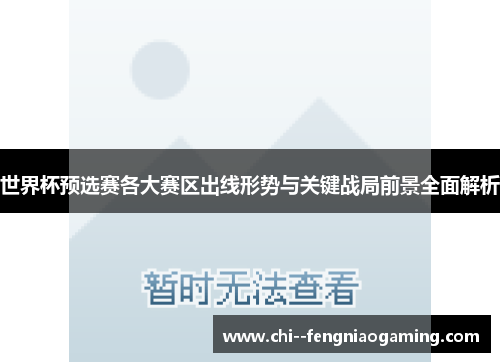 世界杯预选赛各大赛区出线形势与关键战局前景全面解析