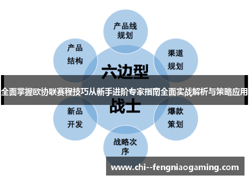 全面掌握欧协联赛程技巧从新手进阶专家指南全面实战解析与策略应用