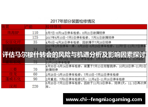 评估马尔穆什转会的风险与机遇分析及影响因素探讨