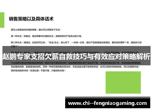 赵鹏专家支招欠薪自救技巧与有效应对策略解析