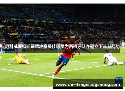 尼科威廉姆斯荣膺决赛最佳球员为西班牙队夺冠立下赫赫战功 尼科威廉姆斯荣膺决赛最佳球员为西班牙队夺冠立下赫赫战功