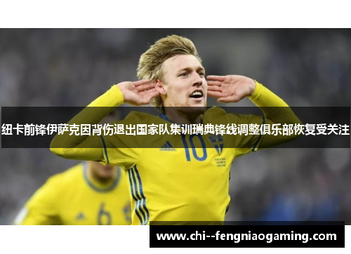 纽卡前锋伊萨克因背伤退出国家队集训瑞典锋线调整俱乐部恢复受关注 纽卡前锋伊萨克因背伤退出国家队集训瑞典锋线调整俱乐部恢复受关注