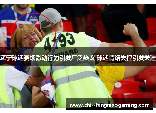 辽宁球迷赛场激动行为引发广泛热议 球迷情绪失控引发关注