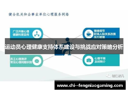 运动员心理健康支持体系建设与挑战应对策略分析