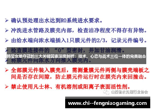 韩莹女单夺冠的三大关键因素深度剖析：技术、心态与战术三位一体的完美融合