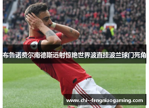 布鲁诺费尔南德斯远射惊艳世界波直挂波兰球门死角