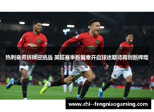 热刺奋勇拼搏迎挑战 英超赛季新篇章开启球迷期待再创新辉煌