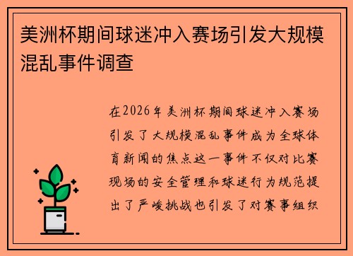 美洲杯期间球迷冲入赛场引发大规模混乱事件调查
