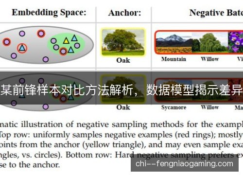 某前锋样本对比方法解析，数据模型揭示差异
