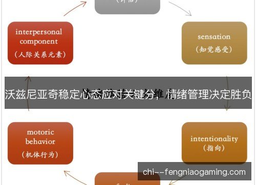 沃兹尼亚奇稳定心态应对关键分，情绪管理决定胜负